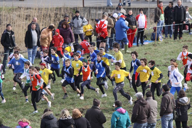 Risultati per anno